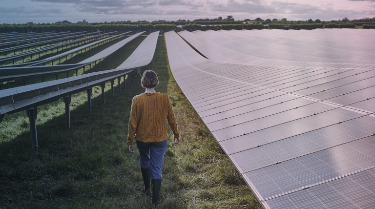 Persona en campo de placas solares