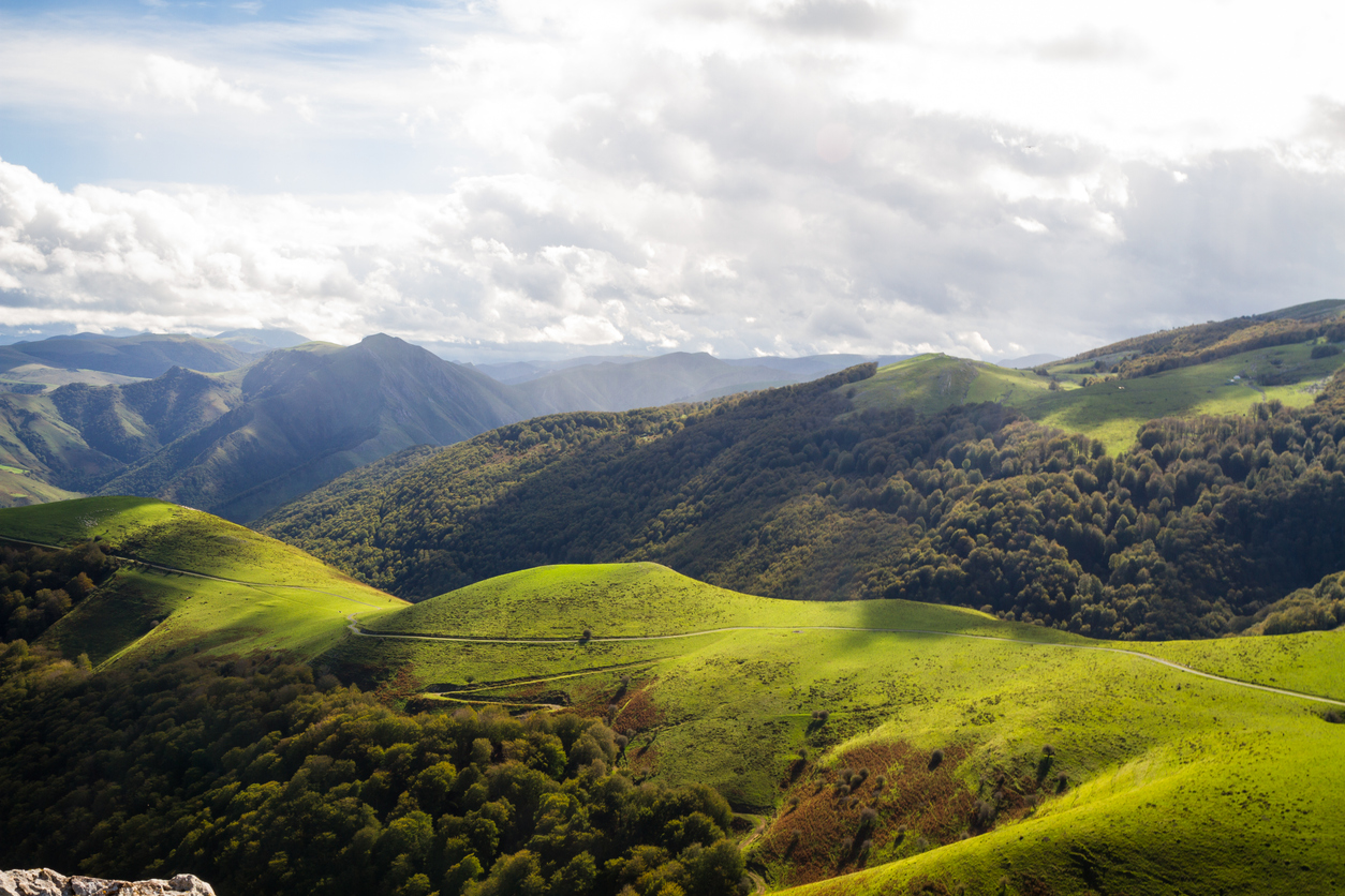 Paisaje de montaña