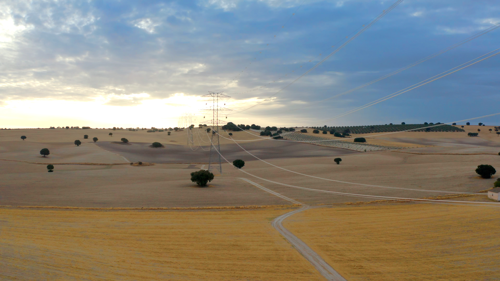 Paisaje líneas