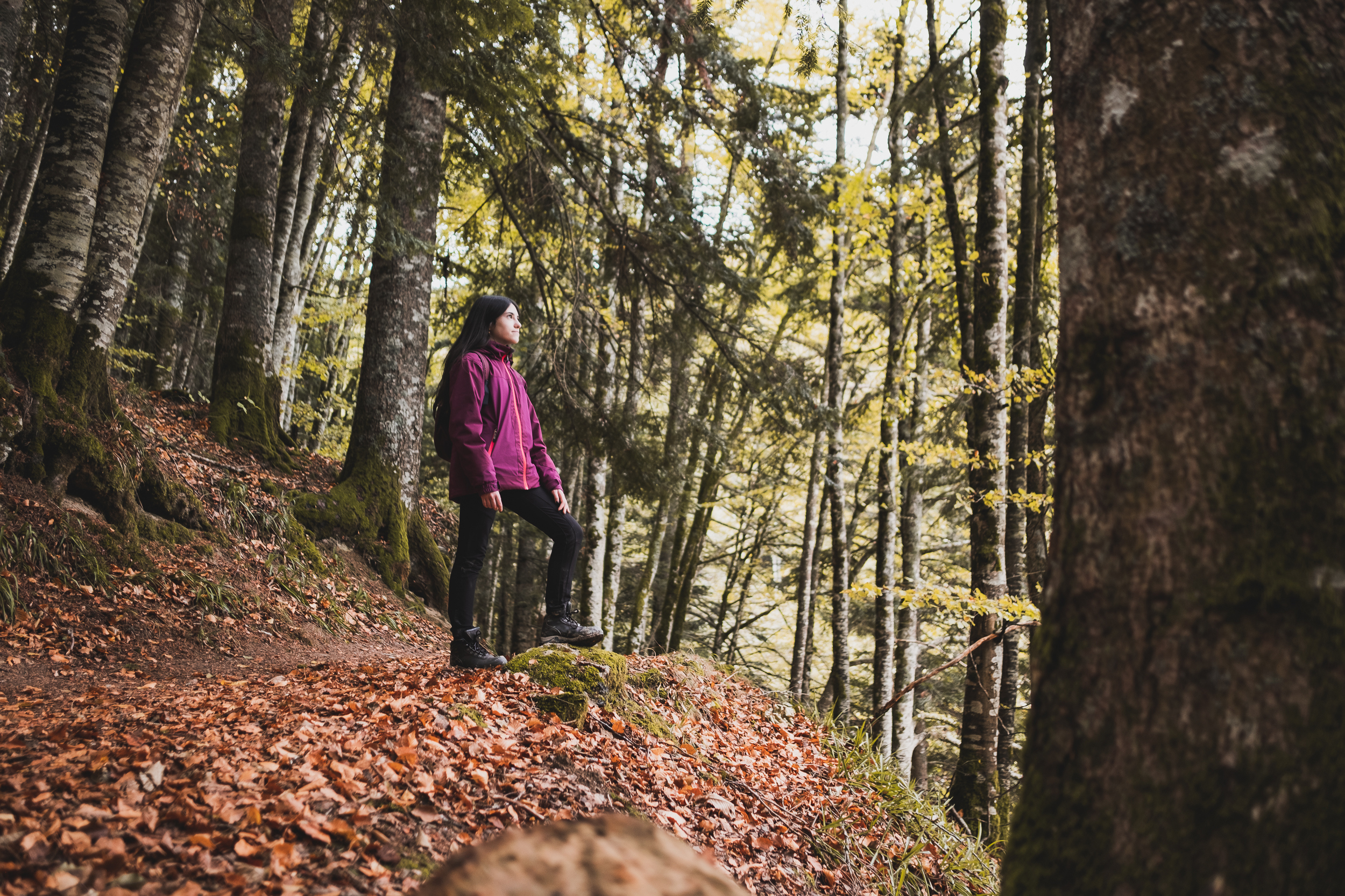 Chica en un bosque