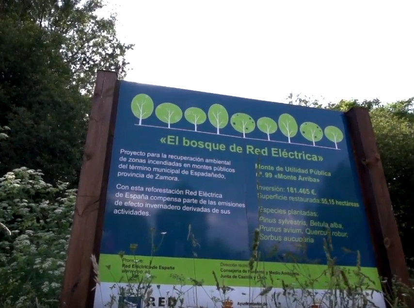 El bosque de Red Eléctrica