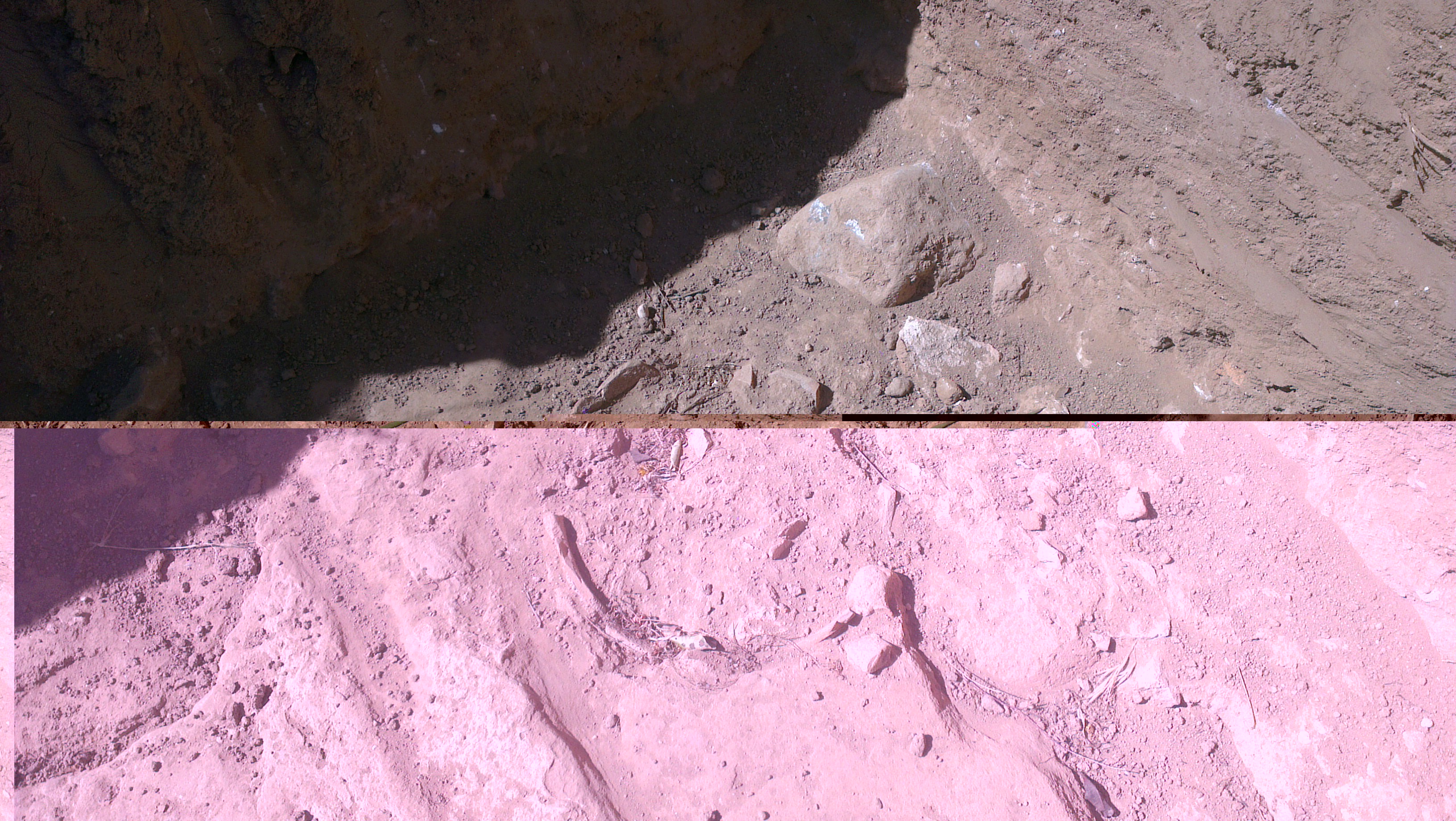 Yacimientos arqueológicos en Can Malat (Ibiza)