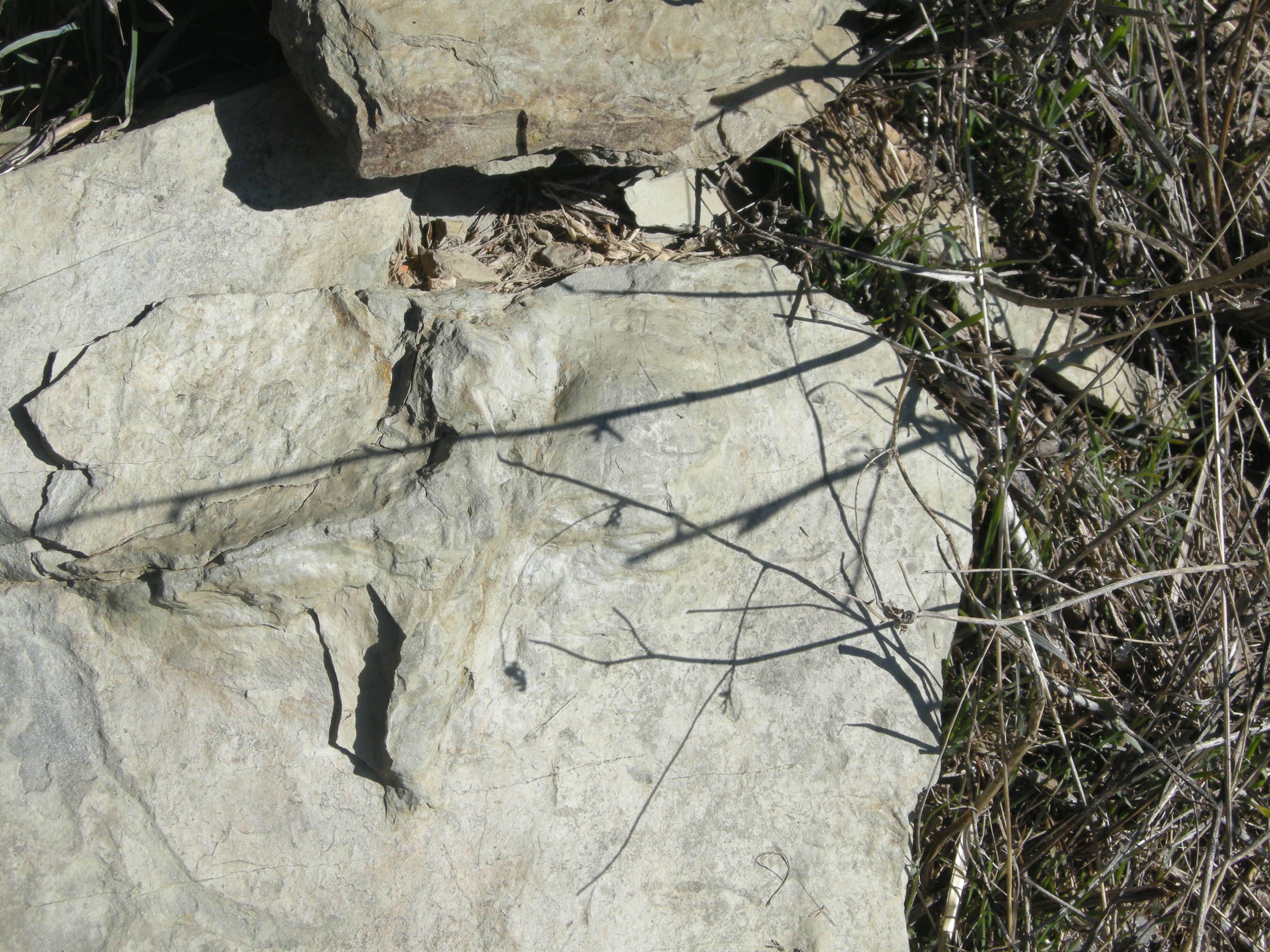 First footprints found at the site in the Ichnites I Zone.