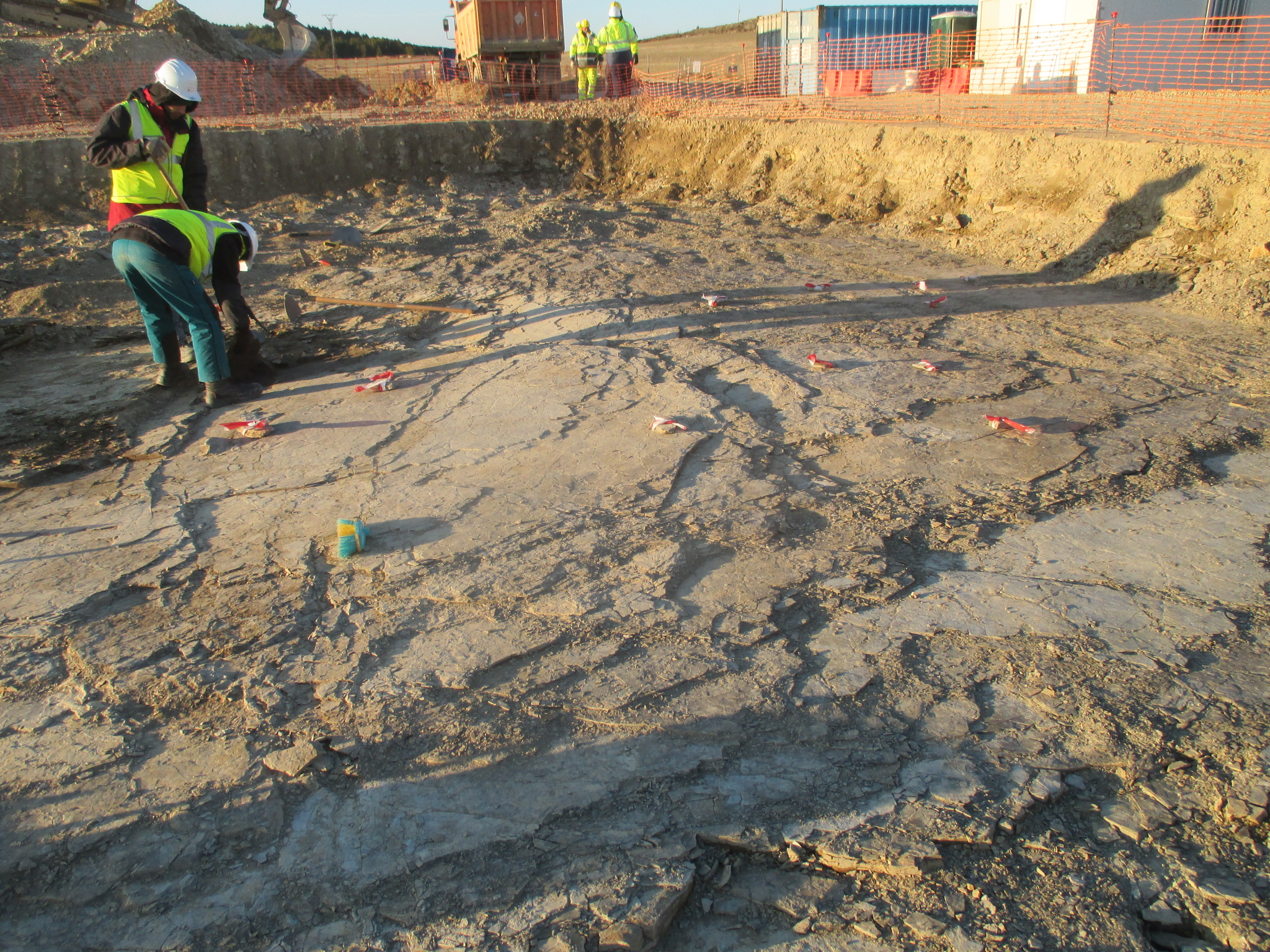 Excavation of Ichnites I and positioning of ichnofossils found