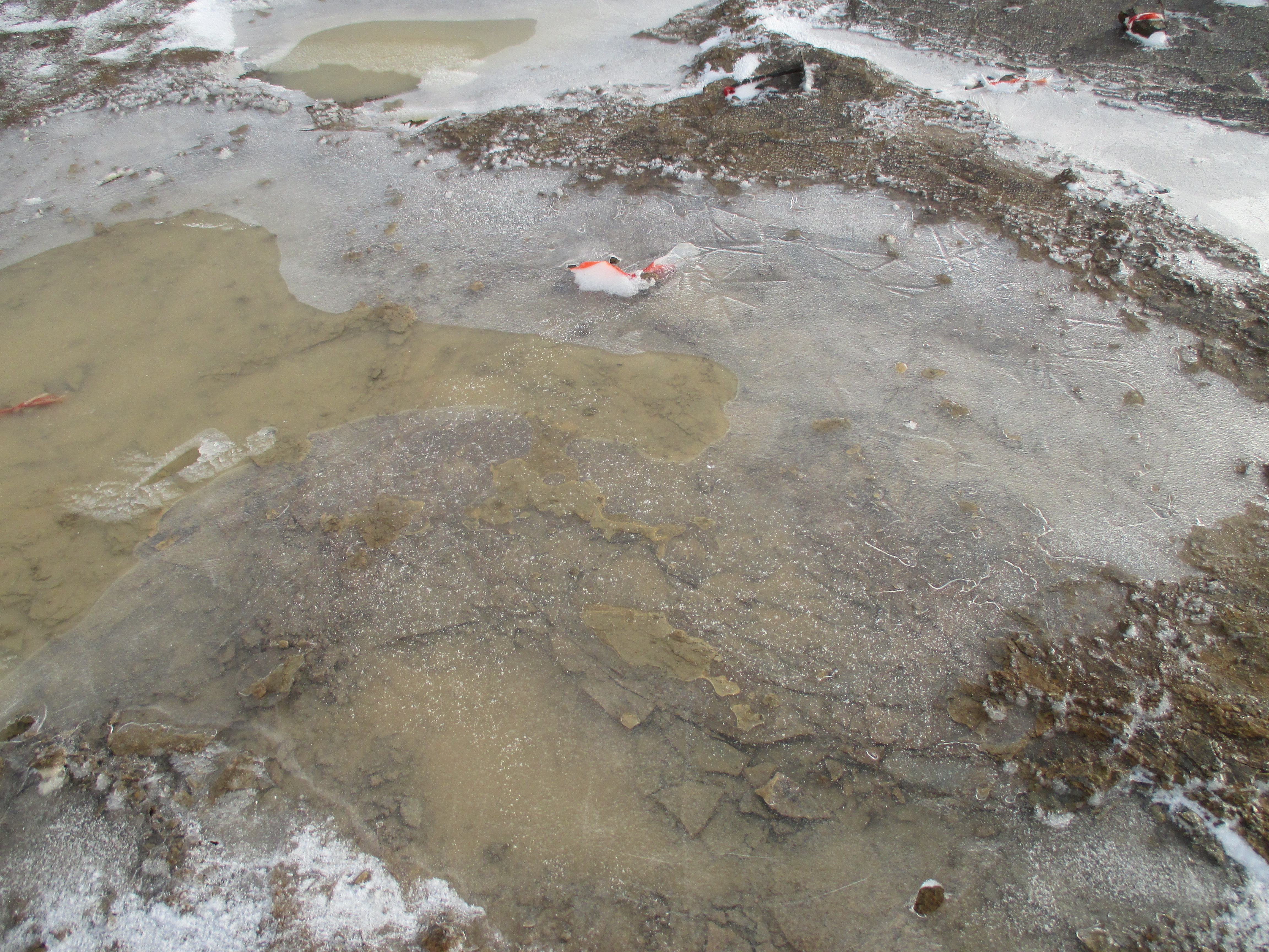 Ice covering the site