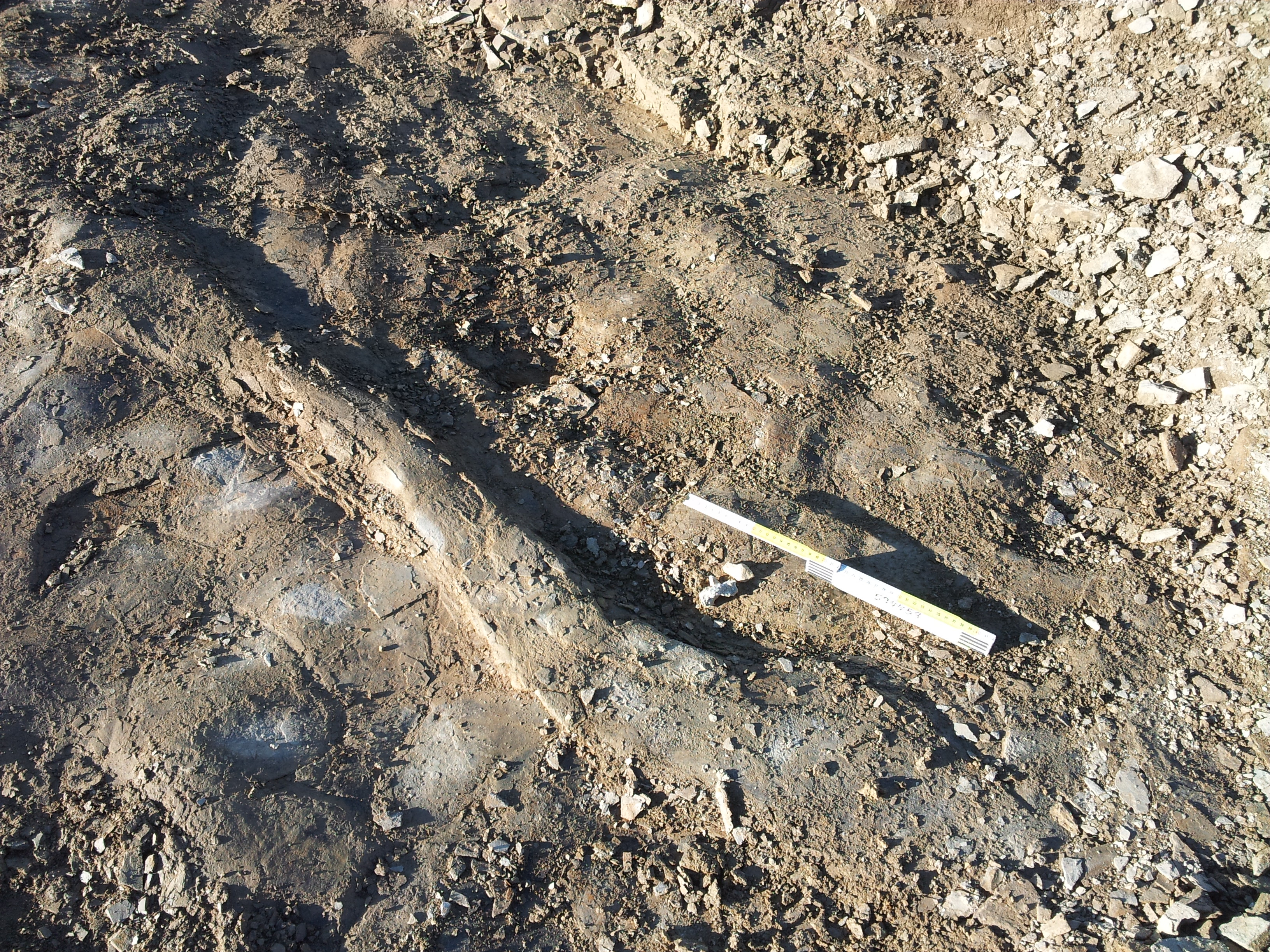 Load-bearing structures on the roof of Unit 6 and approximate location of the bone fragments found