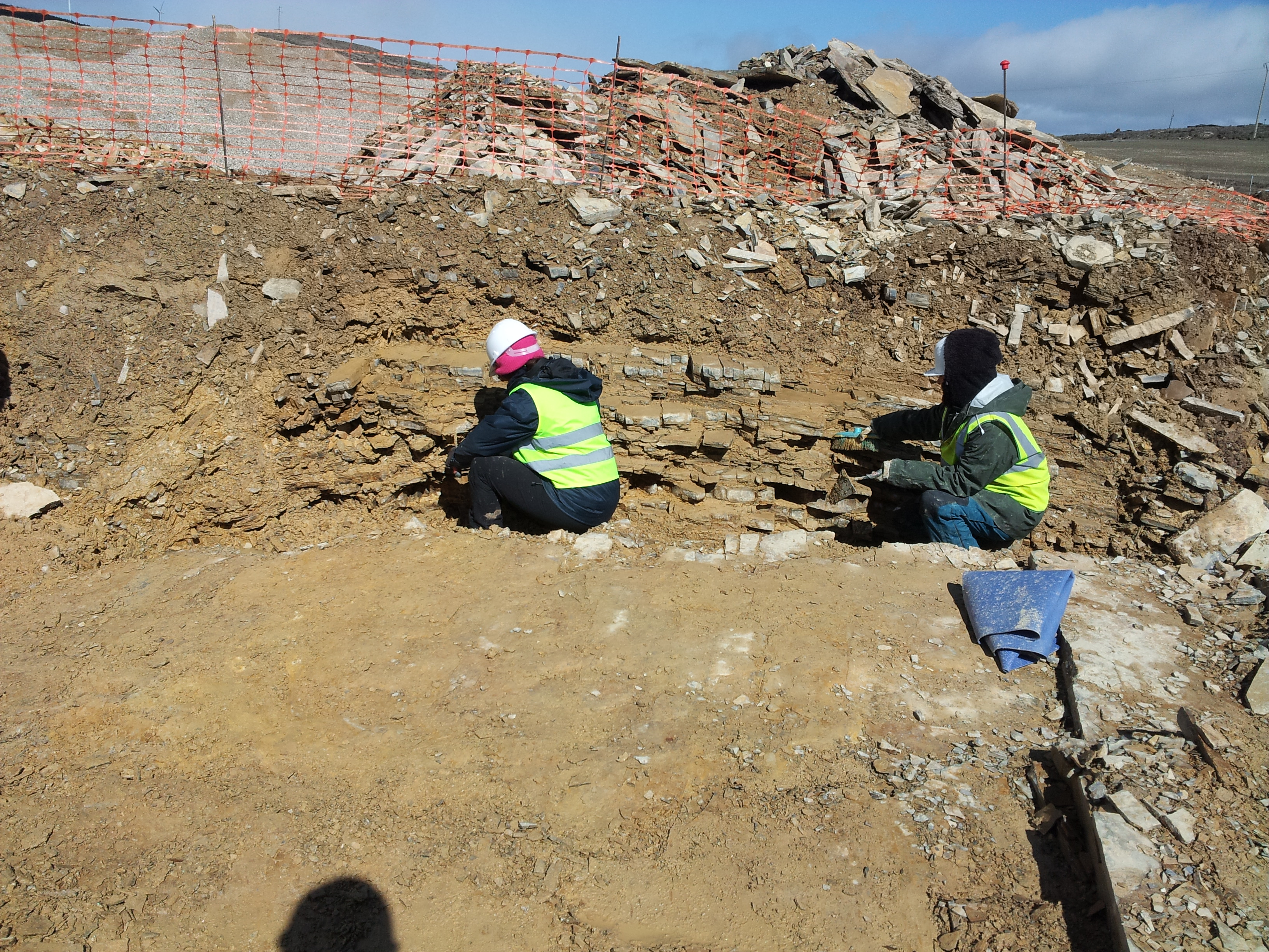 Profile cleaning for geological characterisation of the site