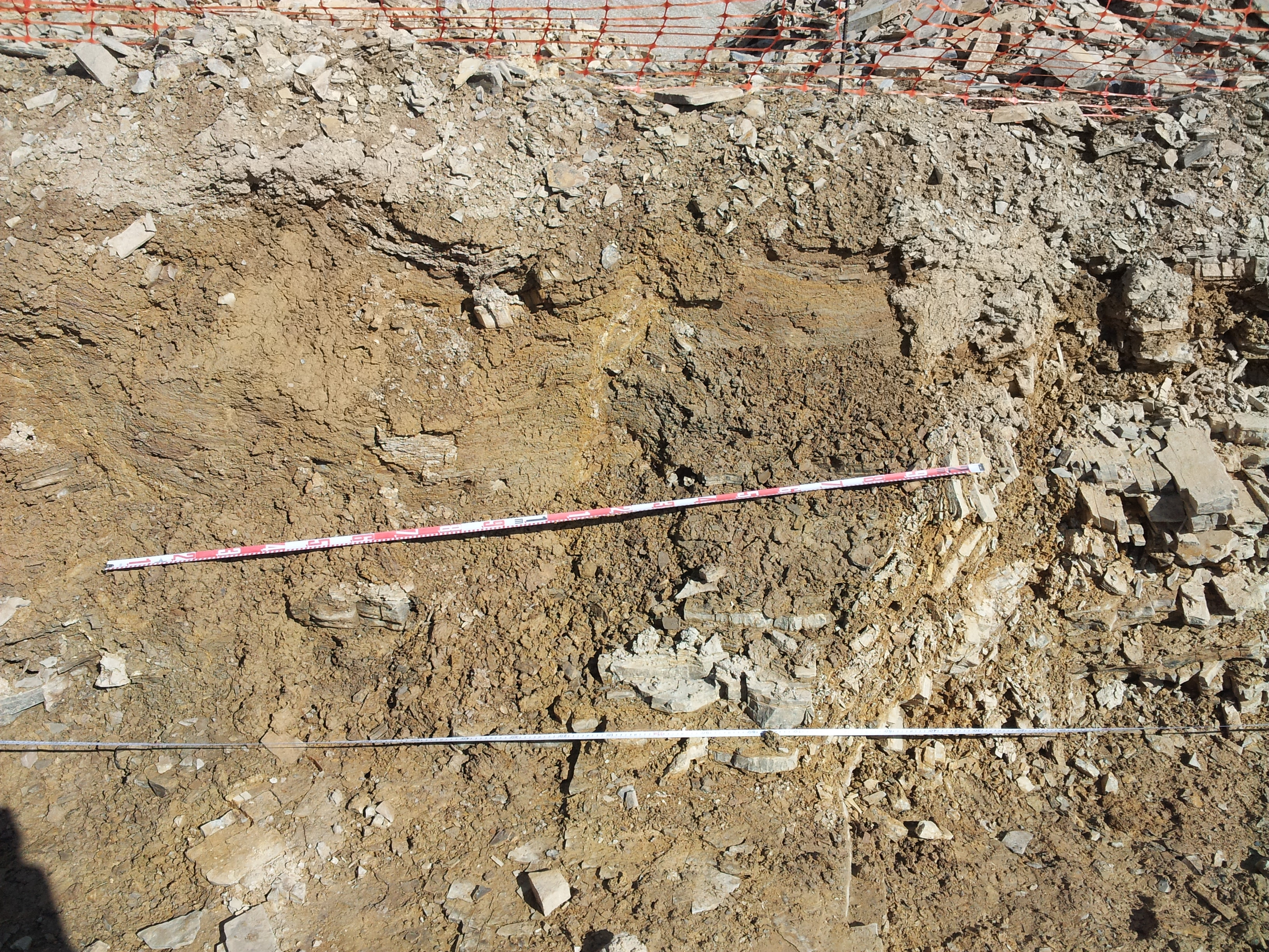 Family of level-deformed faults (left) associated with the major fold (right)