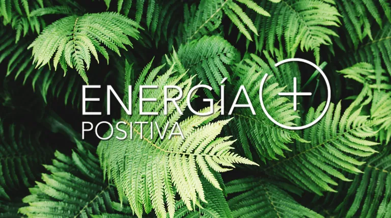 Fighting against the effects of COVID-19 with innovation and Positive