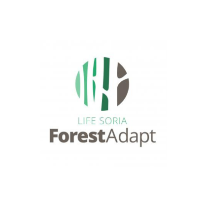 Logo Forest Adapt